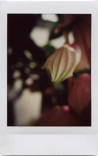 25.4.18