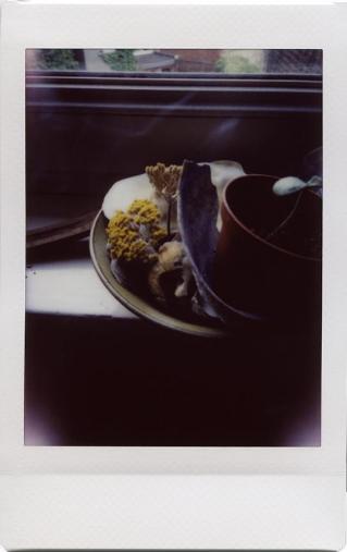 25.5.18